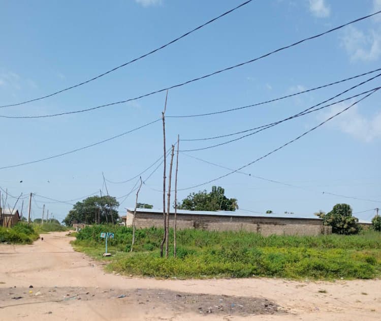 Poteaux de fortune en bois soutenant le réseau électrique